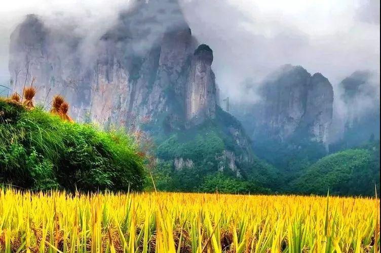 经常偏头痛还头晕怎么办?-专业的58问答交流平台